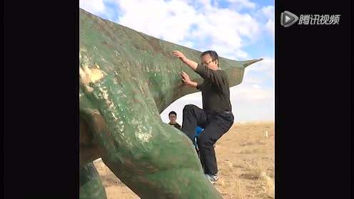 黄金草原 腾讯视频