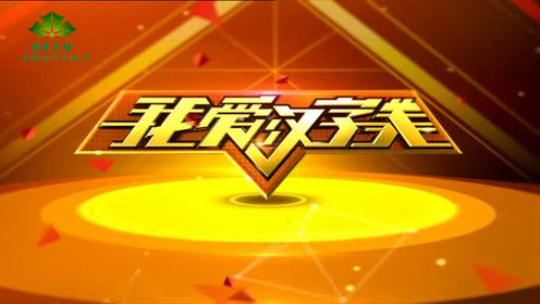 我爱汉字美 腾讯视频
