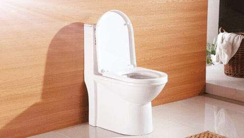 冲马桶时要不要关马桶盖,99%的人都错了
