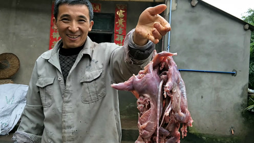 农村大哥住在深山里,捉野兽吃老鼠肉,大家听说都吓到了