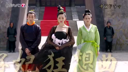 太子妃狂想曲 腾讯视频