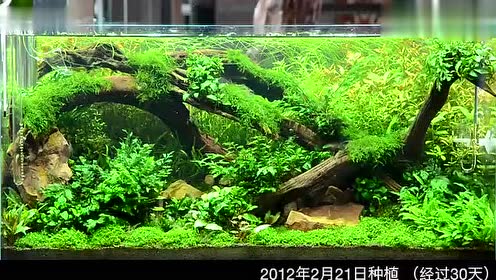 腾讯视频