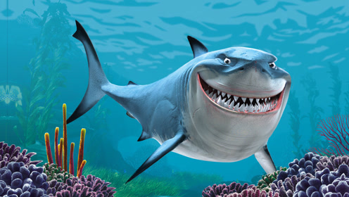 四分钟看完火爆美国朋友圈的电影《鲨卷风4》,胆小的人不要看