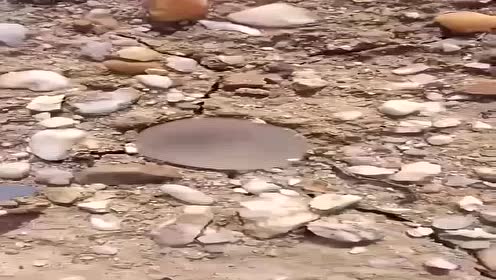 白宝石 腾讯视频
