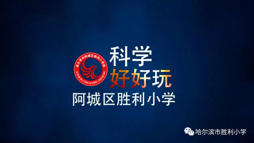博客來 Steam科學好好玩 史萊姆 襪子離心機 野餐墊相對論 隨手取得家中器材 體驗12大類跨領域學科 玩出科學腦