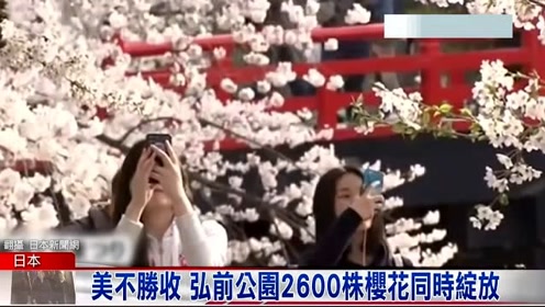 青森弘前公园 腾讯视频