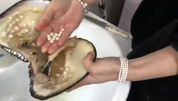 珍珠背后的残忍
