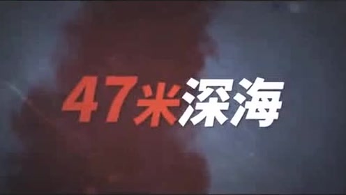 鲨海47 深海逃生 腾讯视频
