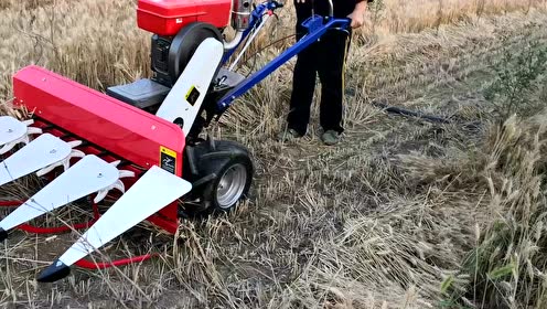 甜高粱侧放式收割机 高杆象草收秧机4900