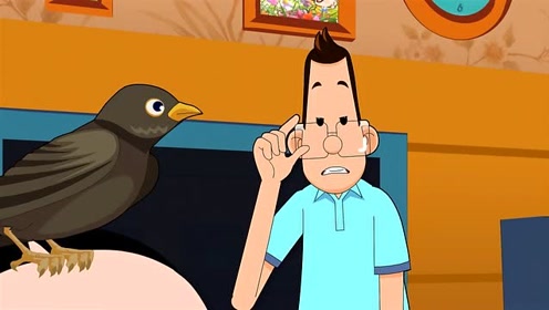 新大头儿子:会吵架的八哥,真聪明