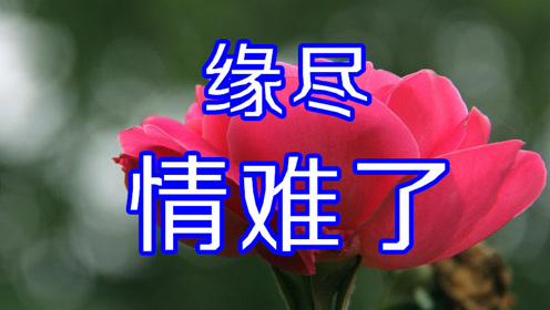 有缘无分的爱,一曲《缘分已尽情难了》亲爱的,只要你幸福就好