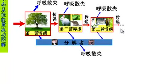 高中生物必修三《稳态与环境》5.2 生态系统的能量流动