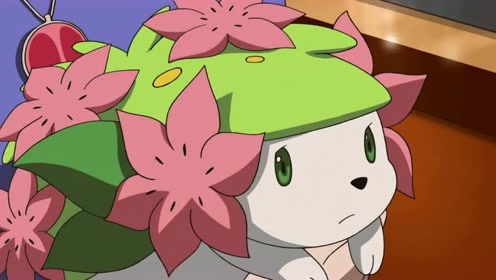 口袋妖怪,谢米吸收了花粉会发光,最终变成天空形态