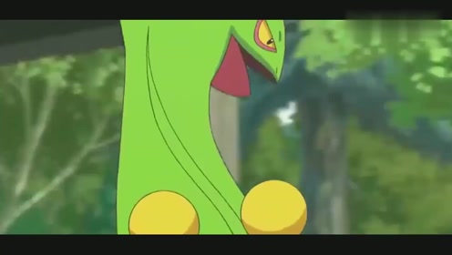 小智错误指挥,没想到让甲贺忍蛙惨败蜥蜴王,失败的训练家