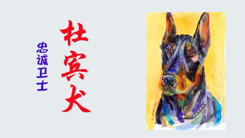 水彩画视频 腾讯视频