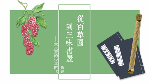 七年级语文上册9 从百草园到三味书屋(鲁迅)