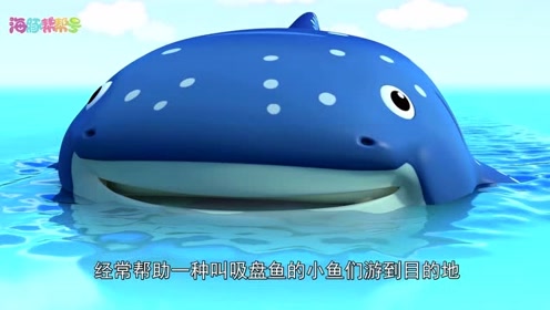 颚鱼 腾讯视频