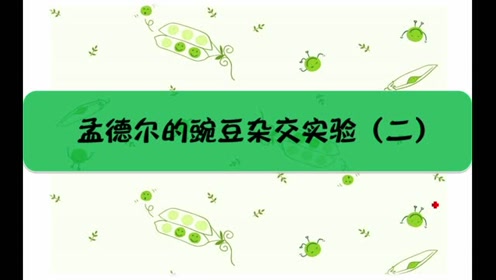 苏教版高中生物必修二