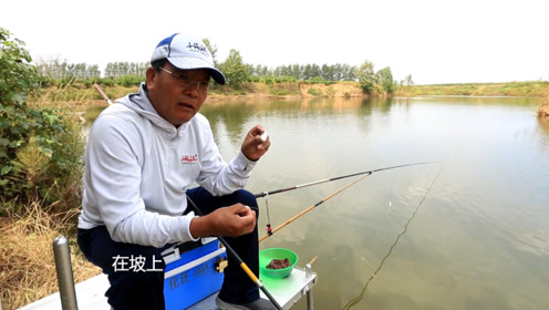 新带你找寻大鱼的"必经之路"时 间:2019-06-16上传者:化绍新钓鱼技巧0