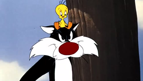 兔八哥:翠蒂跑到傻大猫头顶,最危险的地方就是最安全的!