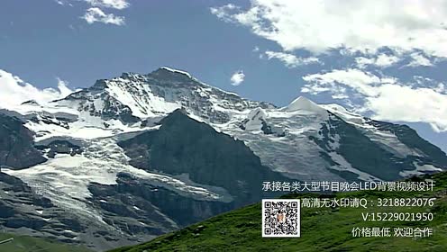 雪山上的格桑花 腾讯视频