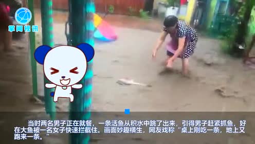 中之条刚 腾讯视频
