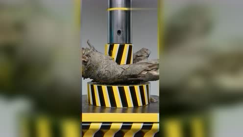 液压机遇见百年古树,压不动了?下一秒让所有人目瞪口呆