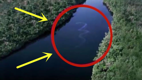 巨大的生物 腾讯视频