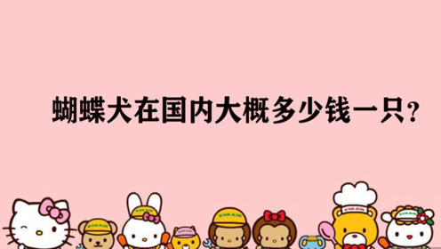 蝴蝶犬发飙 腾讯视频