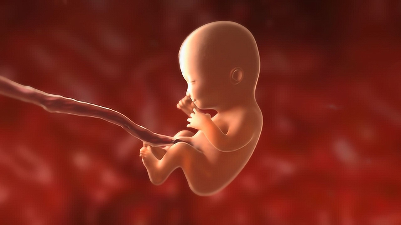 孕期13周到39周胎儿发育过程,看孕妈妈肚子是如何一天天变大的!