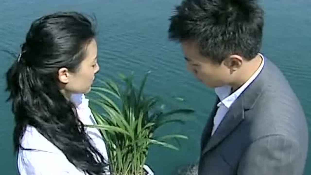 三倍流畅播放 4k超清体验  01:01   钻石王老五的艰难爱情:孟皓给雨馨