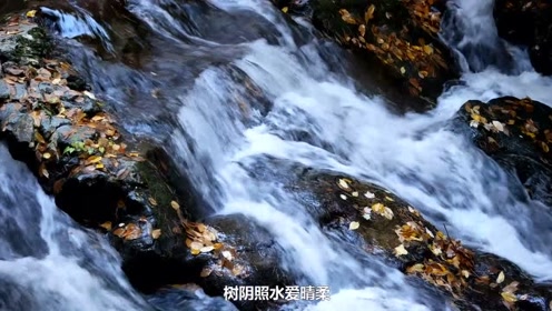 泉眼无声惜细流 腾讯视频