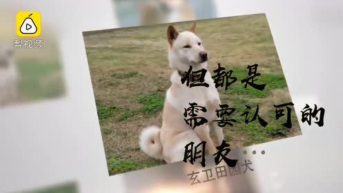 Cku唐狗 腾讯视频