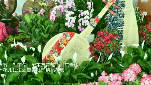 东方花都 腾讯视频