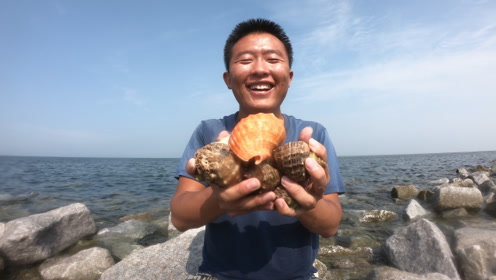 二蛋赶海可发财了,潜水摸到变异漂亮海螺,一个就值100元