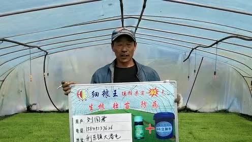 细粮王回fang视频