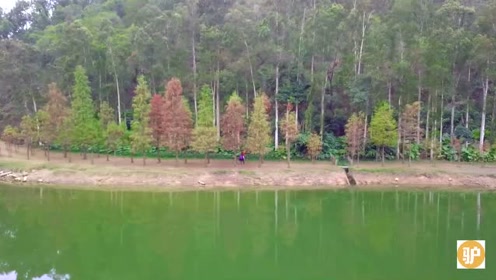 山村響 腾讯视频