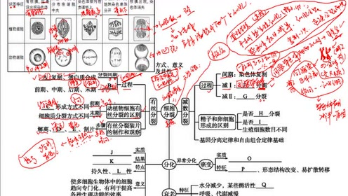 高中生物学必修一(第6章 细胞的生命历程)2 细胞的分化