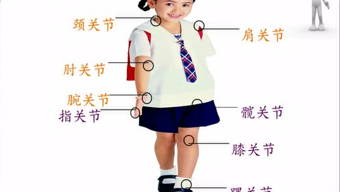 新教科版四年级科学上册 第一单元 1.7 让弦发出高低不同的声音