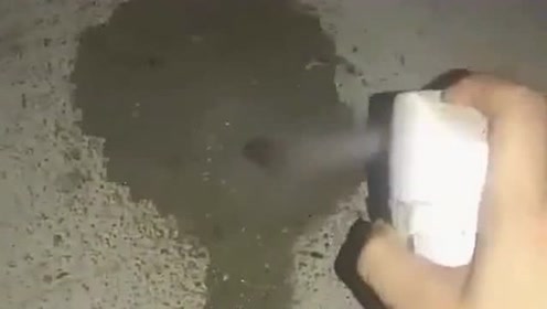 灭虫药 腾讯视频