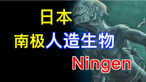 【揭秘】日本,南极人造人ningen宁根