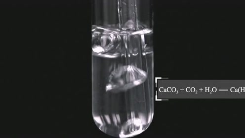 过量co2石灰水 腾讯视频