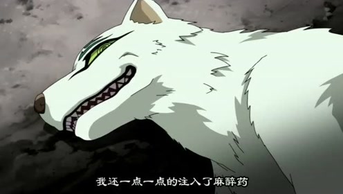 腾讯视频