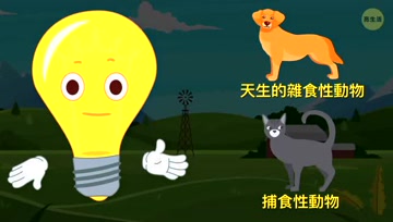 可以让你的宠物吃素吗？