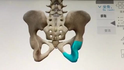 腾讯视频