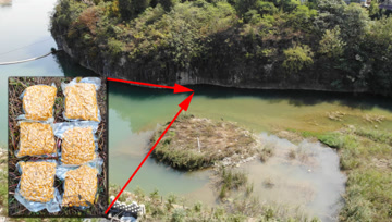 1次打6袋发酵玉米，多久发窝？能维持多长时间？水下8小时记录