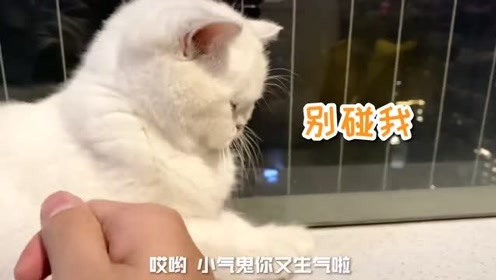 哄不好的那种 腾讯视频
