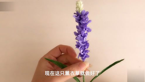 薰衣草纸花 腾讯视频