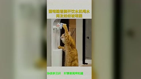 猫咪踮着脚开饮水机喝水 腾讯视频