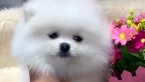 腾讯视频